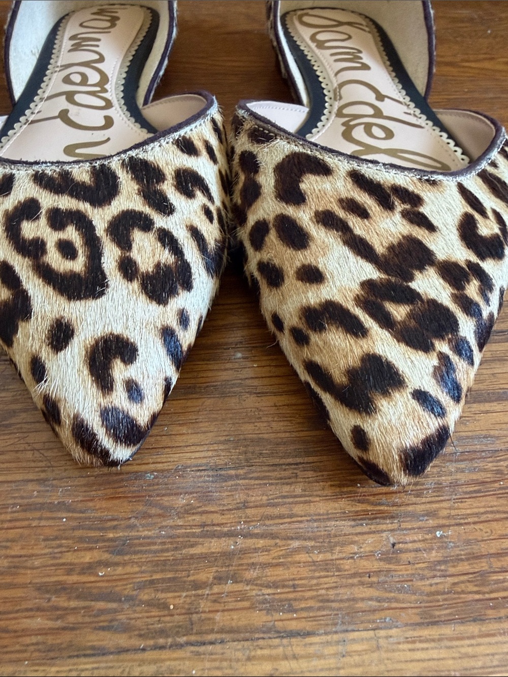 Sam Edelman Leopard Print Pointed Toe Flats - Picture 6 of 7